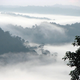 Selvas del valle de Danum, en Borneo. Foto: Rob and Stephanie Levy / Flickr, bajo licencia Creative Commons.